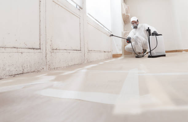 24/7 Emergency Attic Mold Removal experts in Burnsville, MN