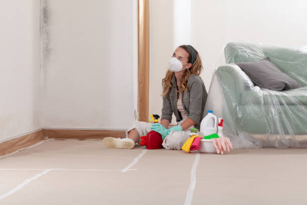 Reliable Attic Mold Removal contractor in Burnsville, MN by WQB Mold Removal